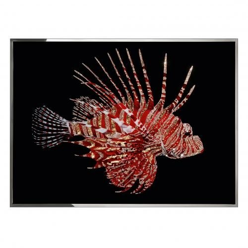 Pesce_Scorpione_artwork_01