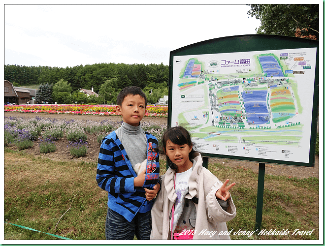 20130725_03 遊客超多之富田農場 007s