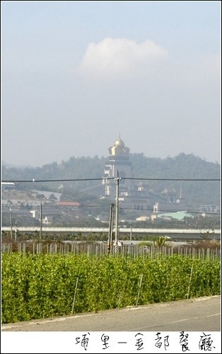 埔里-金都餐廳17