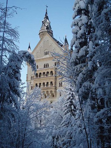 neuschwanstein_winter_below_vert.jpg