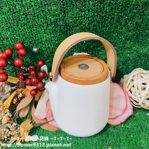 Eilong宜龍茶器 茶具旅行組 (5).JPG