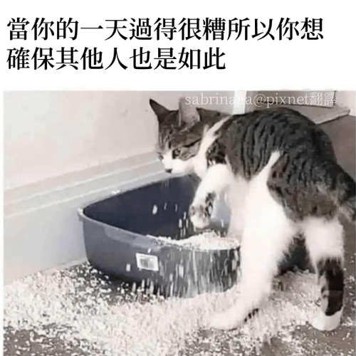 投影片3.PNG