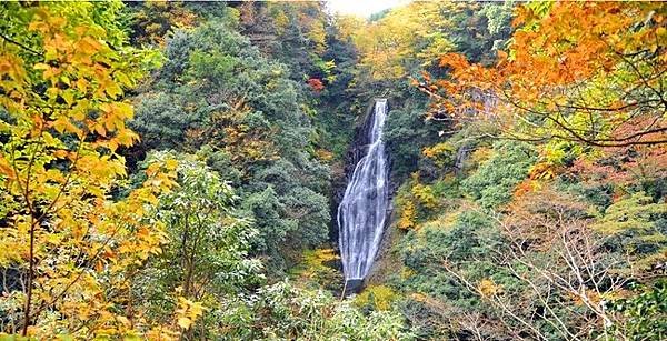 鳥取紅葉地圖