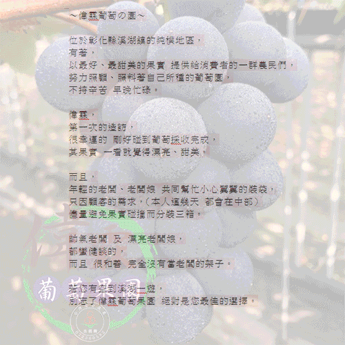 偉霖葡萄の園動畫
