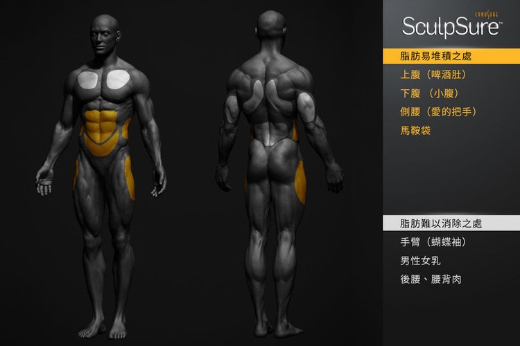 SculpSure體雕減肥減肥藥不好絲酷秀術後修復價格恢復期雷射體雕二極體冷凍溶脂減肥日記費用減肥食譜術後雷射溶脂局部平坦小腹塑身曲線雕塑林上立上立皮膚科診所07.jpg