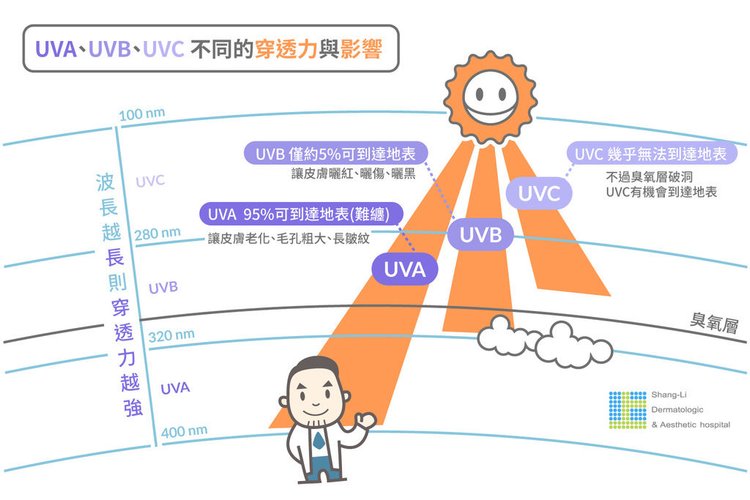 洢蓮絲ellanse聚己內酯PCL依戀詩易麗適少女針奇蹟針液態拉皮上立提二代童顏針膠原蛋白增生推薦醫師液態拉皮二代童顏針台北推薦診所上立皮膚科林上立醫師 (4).jpg