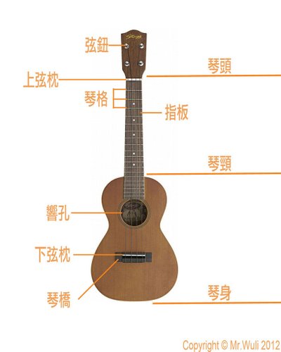 ukulele構造說明.jpg