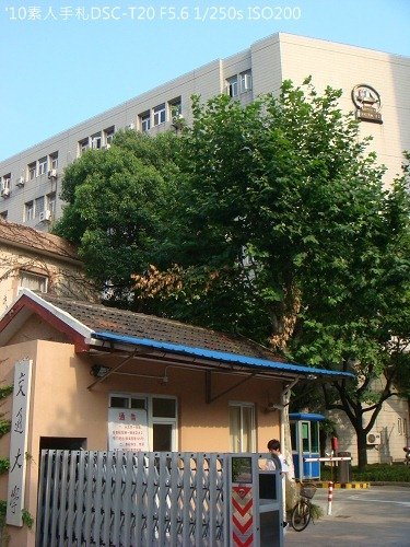 20100801028