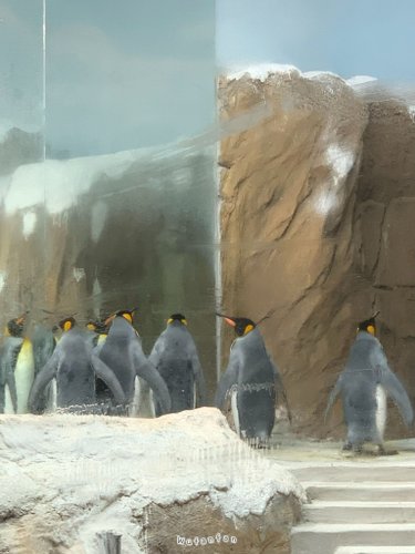 Taipei Zoo 臺北市立動物園 第n訪