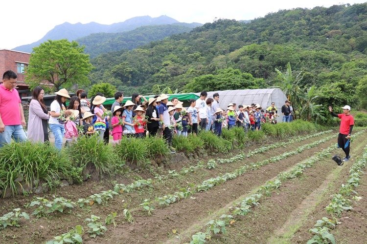 ▌新北景點▌金山汪汪地瓜園。烤磚窯／烤肉／挖沙／打水仗／有機地瓜種植 小農親子體驗