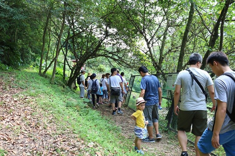 夜裡惱人清夢、外出叮到滿腳紅豆冰？夏天蚊子到底怎麼防？！水清淨精油驅蚊噴霧