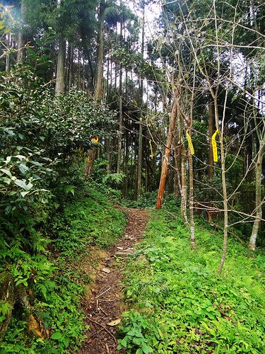 向天湖光天高山 (41).jpg