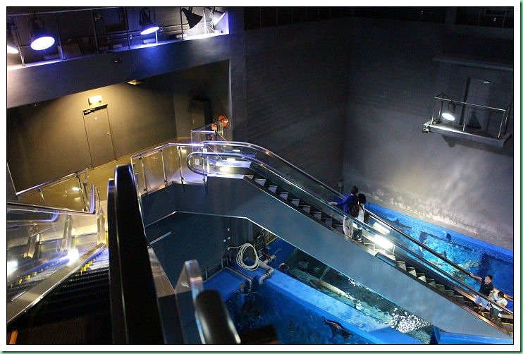 20140721_003 登別海洋尼克斯 047s