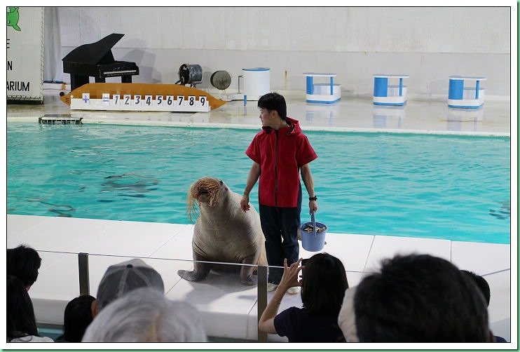 20140725_002 小樽水族館 007s