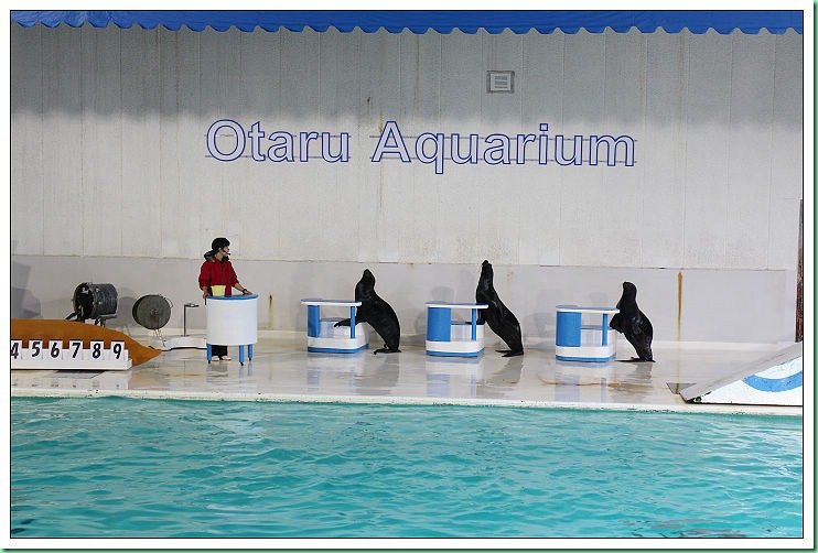 20140725_002 小樽水族館 010s