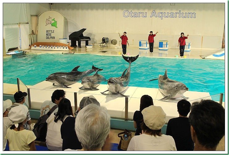 20140725_002 小樽水族館 013s