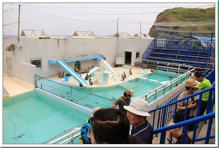 20140725_002 小樽水族館 023s