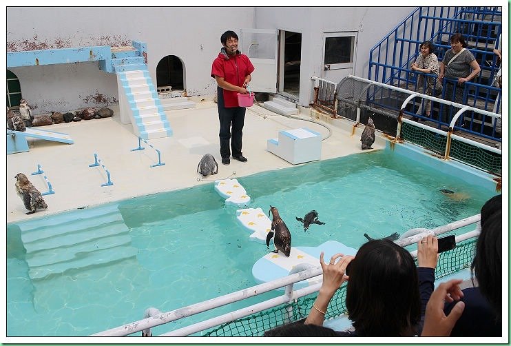 20140725_002 小樽水族館 029s