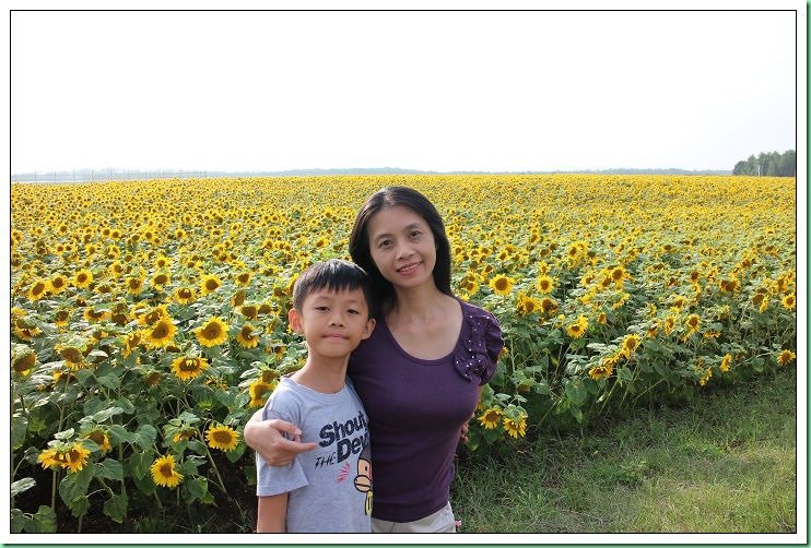 20140731_007 女滿別大空町向日葵 002s