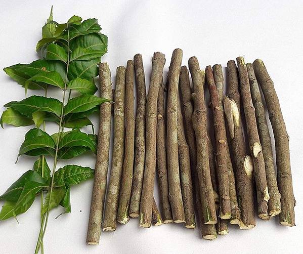 米斯瓦克（miswak）, 也被稱為「刷牙棍」或「樹枝牙刷」