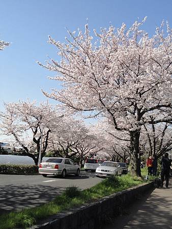 DSC02561