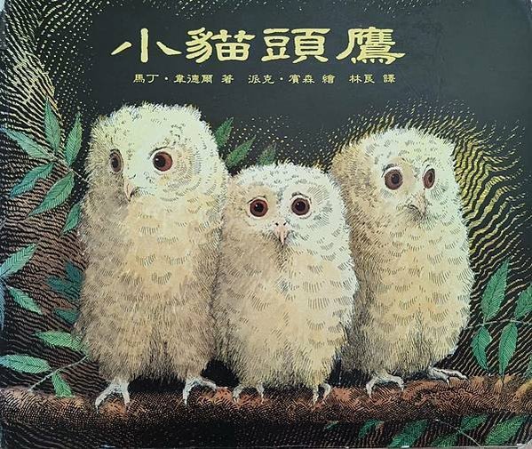 20240509師生共讀(共讀繪本數2728):小貓頭鷹