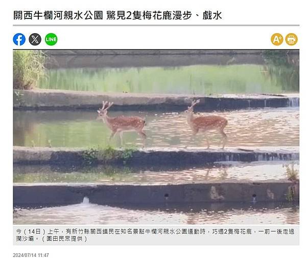 霄裡溪汙染終結+搶救牛欄河/新竹縣新埔鎮「水牛學堂」主人李春