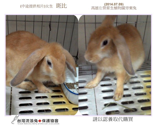 PhotoCap_001