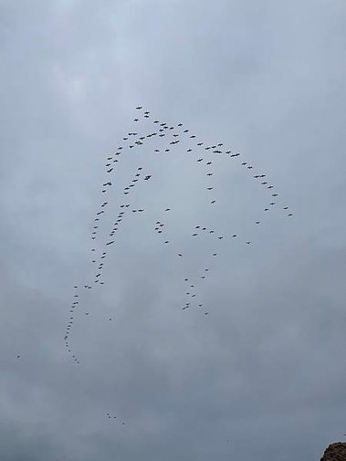 IMG_2135.JPG