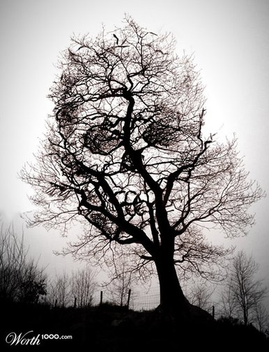 tree-of-death-photomanipulation.jpg