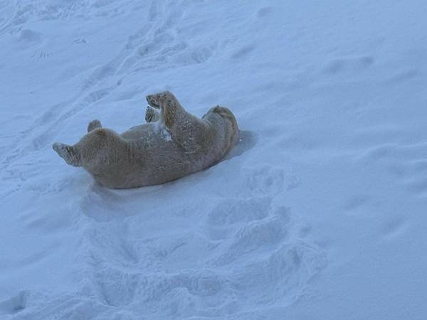 [北歐四國] Day12 羅瓦捏米 Rovaniemi 北極