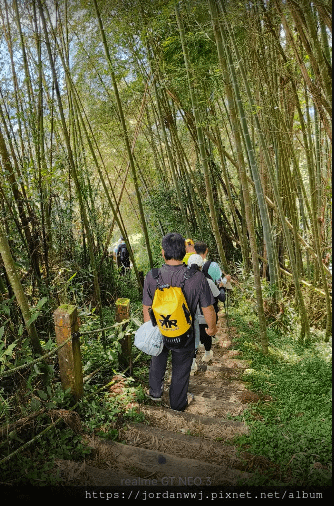 【運動】阿里山石棹「霧、茶、雲、霞、櫻」之道