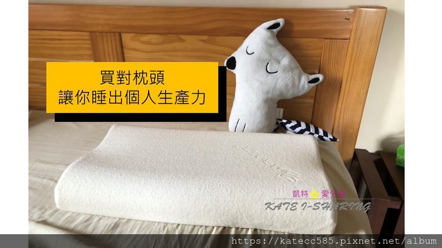 睡眠品質_達人睡眠枕頭.jpg