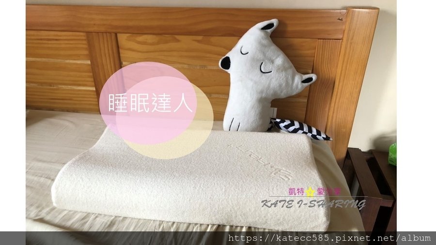 睡眠品質_達人睡眠枕頭推薦.jpg