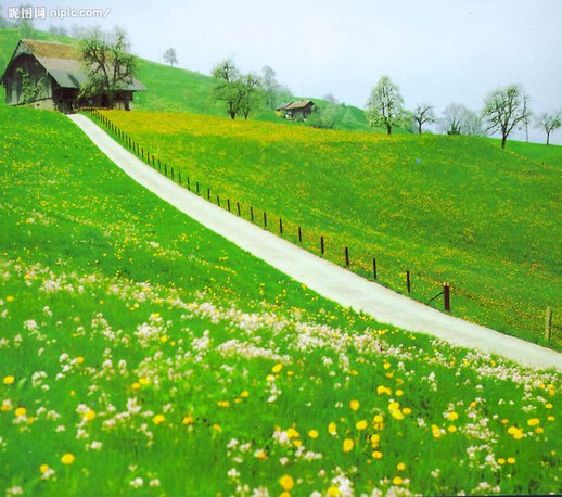 nature-1.jpg