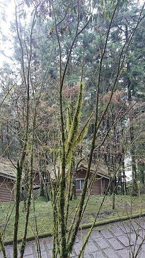 DSC_4753.JPG