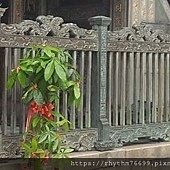 廟宇設計 ☆ 林大山 ☆ 螭虎林