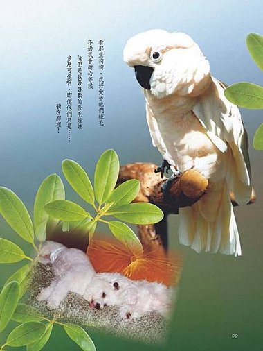 C-BIRDS-EB-S_頁面_099.jpg