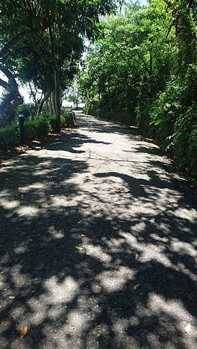 DSC_3198.JPG