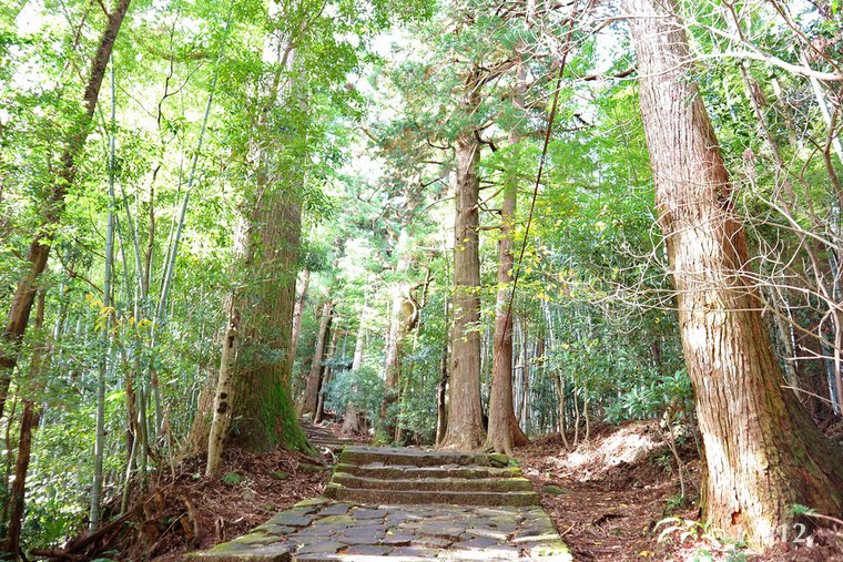 | 和歌山・紀伊勝浦 | 靈氣滿滿的熊野那智大社～有狗