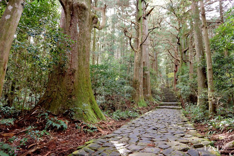 | 和歌山・紀伊勝浦 | 靈氣滿滿的熊野那智大社～有狗