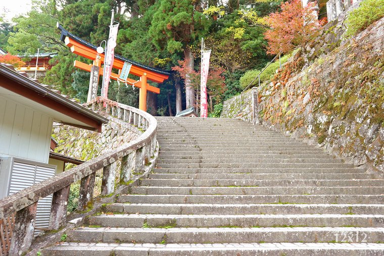 | 和歌山・紀伊勝浦 | 靈氣滿滿的熊野那智大社～有狗