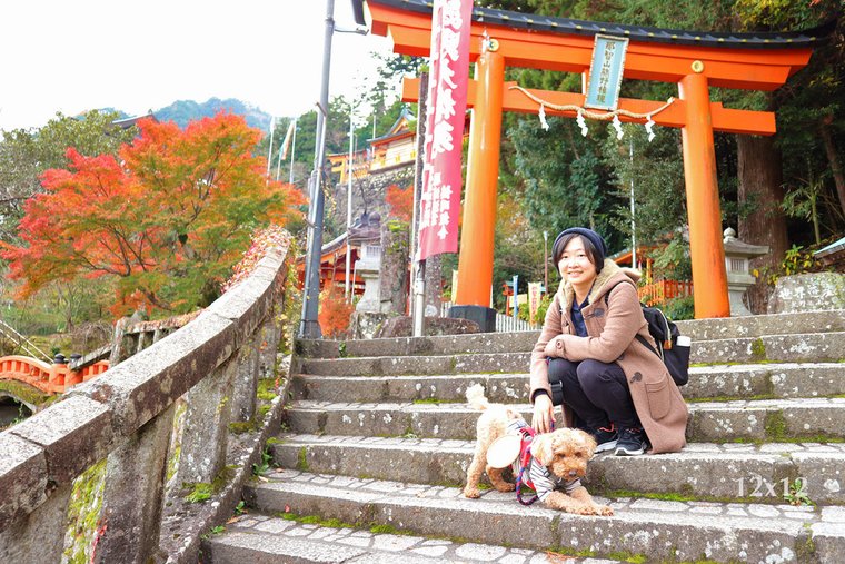 | 和歌山・紀伊勝浦 | 靈氣滿滿的熊野那智大社～有狗