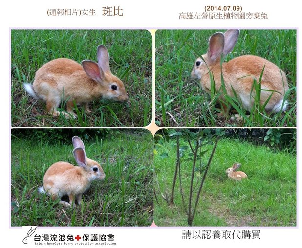 PhotoCap_001
