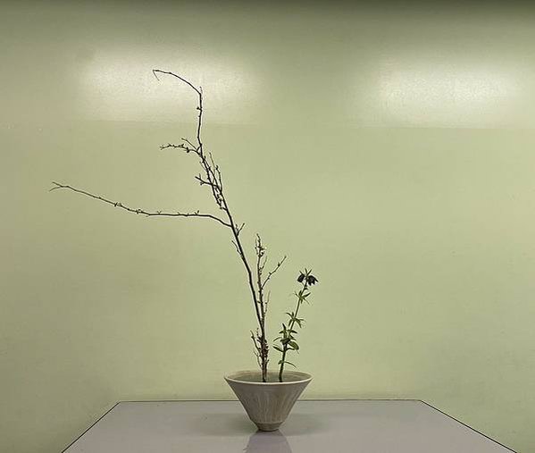 池坊中央研修學院研究科第四期 1/29-2/2