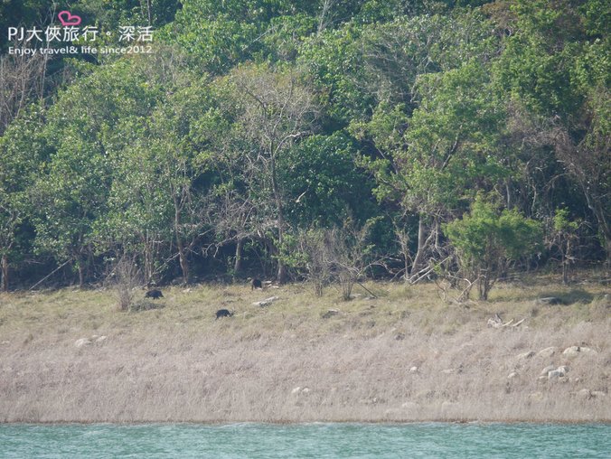 2021曾文水庫景點觀光遊船推薦附近旅遊台南嘉義山豬島