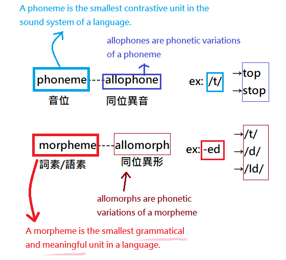 allophone allomorph