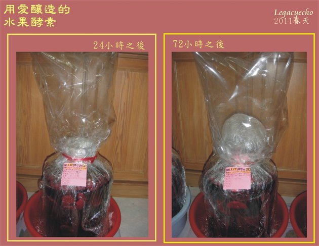 酵素08.jpg