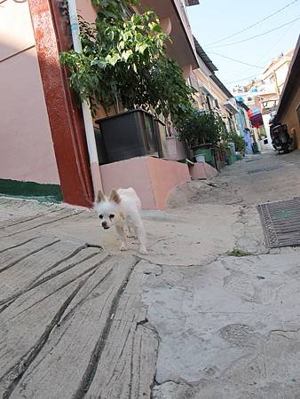 IMG_3369