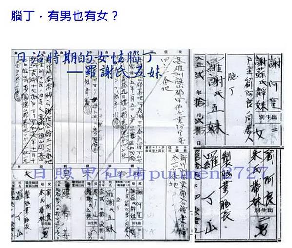 腦炊/腦灶/樟腦寮與腦炊/客家人來到國姓開墾，以種植樟腦、香